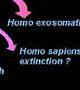 Human Evolution??